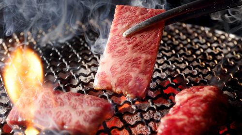 Hida beef restaurant bakuro ichidai Nagoya west - Hida beef BBQ package (choose one of three meal vouchers)