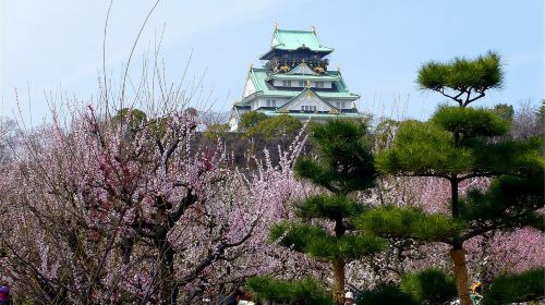 [Official Ticket] Sanyo Shinkansen - One-way Ticket [Osaka/Okayama/Fukuyama/Hiroshima/Kokura/Hakata/Yamaguchi] Transport Passes