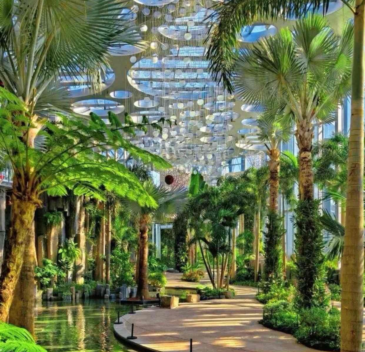 Shanghai Greenhouse Garden Adult Ticket ( Asia's Largest Glass Greenhouse)