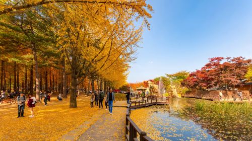 Nami Island + Gangchon Railbike + The Garden of Morning Calm One Day Tour