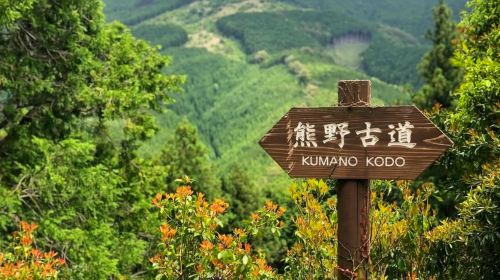 1-Day Tour of Kumano-Kodo Nakahechi Pilgrimage Route in Japan – Customize Your Itinerary