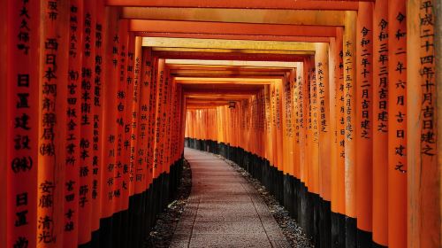 Kyoto: Early Morning Tour with English-Speaking Guide Day Tours