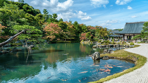 Kyoto: UNESCO World Heritage Arashiyama Walking Tour Day Tours