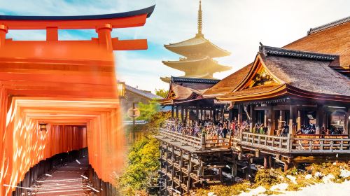 Kyoto & Nara 7 Major Spots Highlights Day Tour
