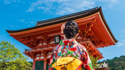 Osaka city private car tour – 8 or 10-hour extended service with Chinese/English-speaking driver / Customizable routes