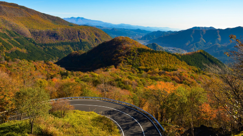 Nikko 1-day tour: World Heritage Site Toshogu Shrine + Lake Chūzenji + Kegon Waterfalls + Irohazaka Winding Road Day Tours
