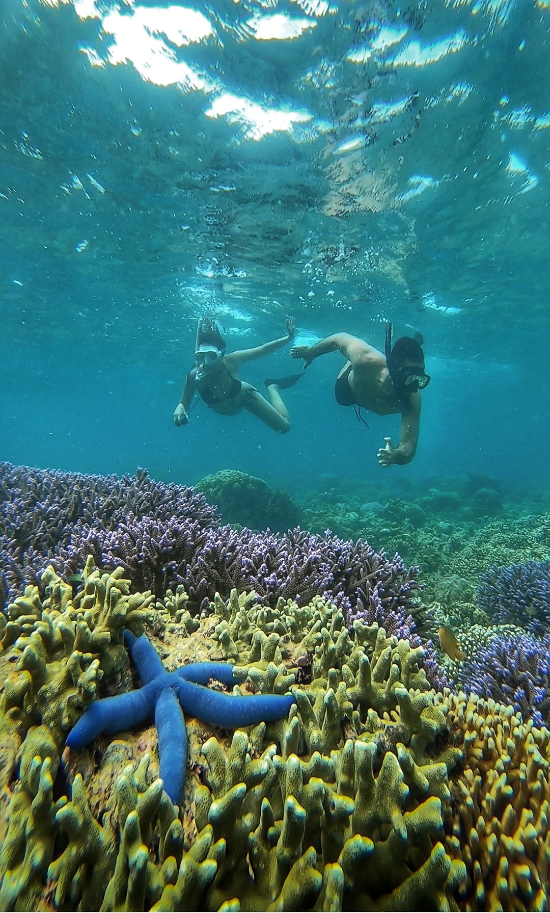 Secrate Island Private Snorkling Tour in lombok with go pro