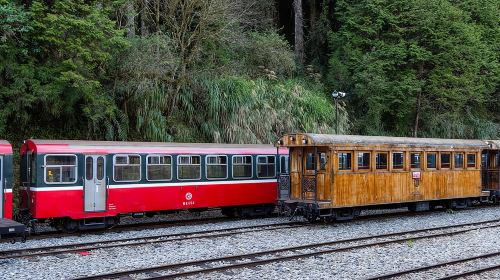 Alishan Join In Day Tour from Taichung (Incl. Park Entrance) Day Tours