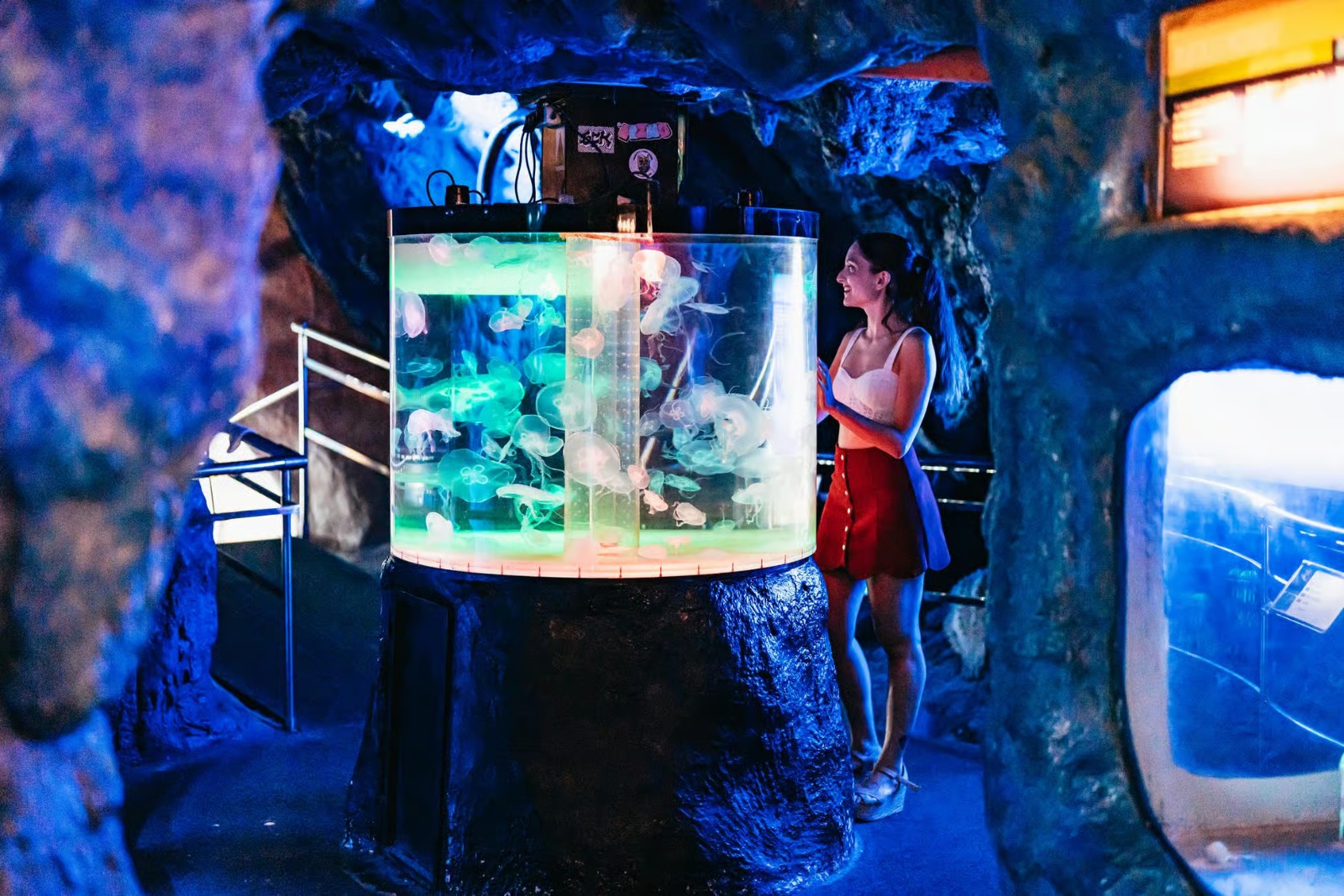 Barcelona Aquarium: Entry Ticket