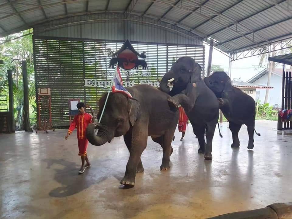 Chang Puak Camp Damnoen Saduak (Activity Combo Packages)