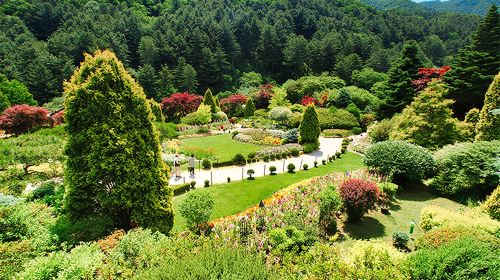 Gyeonggi-do, South Korea|Gapyeong Begonia Bird Garden X Nami Island Day Tours