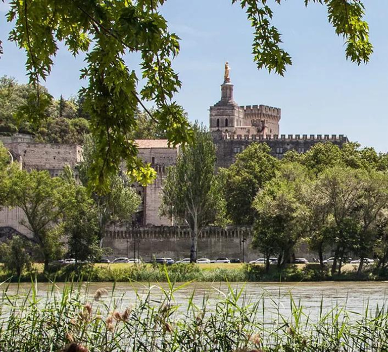 Avignon City Pass: Tourist sites in Avignon and Villeneuve Lez Avignon
