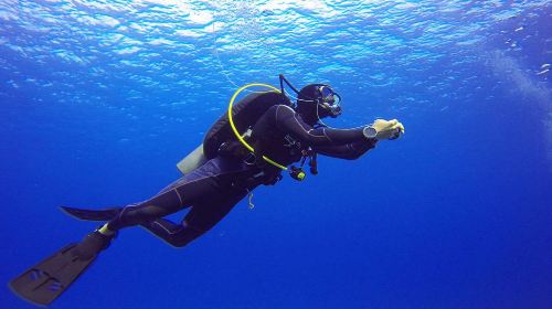 Dubai ScubaDive.ae + Jumeirah Beach diving experience scuba diving 0.5h