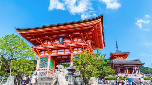 Kyoto Ancient Capital Cultural Tour – A Day Trip to Kyoto's Ancient Temples and Fushimi Inari Shrine