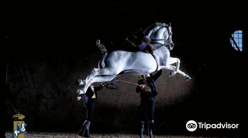 Royal Andalusian School of Equestrian Art