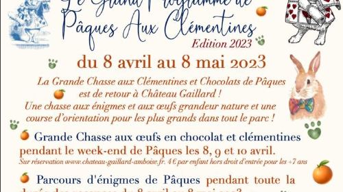 Chateau Gaillard