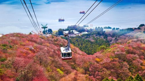 Hakone Owakudani and Lake Yamanaka Day Tour, Free Hakone Ropeway, Optional 9-Person Small Group Transfer