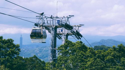 Taipei quantity + Shifen Old Street one-day tour – Popular Tourist Attractions Half-Day Tour