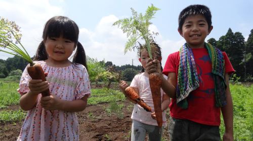 Smile Village Someya Farm - Unique Japanese Local Farm Experience