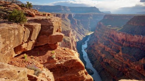 1-day tour of Grand Canyon National Park [South Rim + Lunch] Day Tours