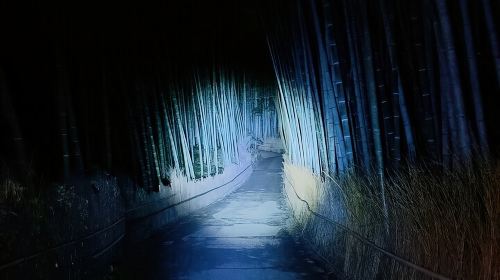 Kyoto Ghost Tour: Dark Tales, Urban Legends, Bamboo Forest Night Day Tours