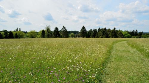 Arboretum de Versailles-Chevreloup