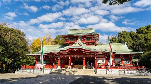 Tokyo: Deep Dive into Japanese Traditional Culture - Temple Goma Fire Purification Ritual + Play Traditional Japanese Games with Geisha Day Tours