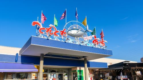 1-day tour to Wakayama & Shirahama hot spring – Visit the cat station master