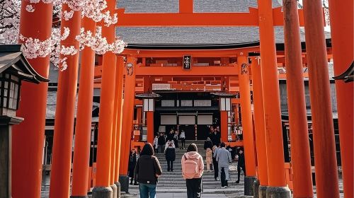 A day trip to Kyoto's ancient architecture, Nara Park with adorable deer, and Fushimi Inari Shrine
