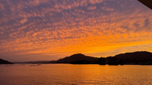 Hiroshima and Miyajima Satisfying Private Tour with a Local Day Tours