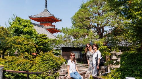 Kiyomizu Temple and Backstreets of Gion, Half Day Group Tour Day Tours
