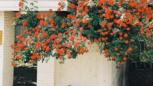Penghu Trip Moments