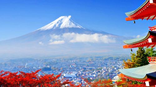 Mount Fuji Panoramic Tour from Tokyo | Optional Visits to Popular Parks, Oshino Hakkai, Lawson at Higashikawa Clock Shop, Lake Kawaguchi & Lake Yamanaka | Departing from Tokyo