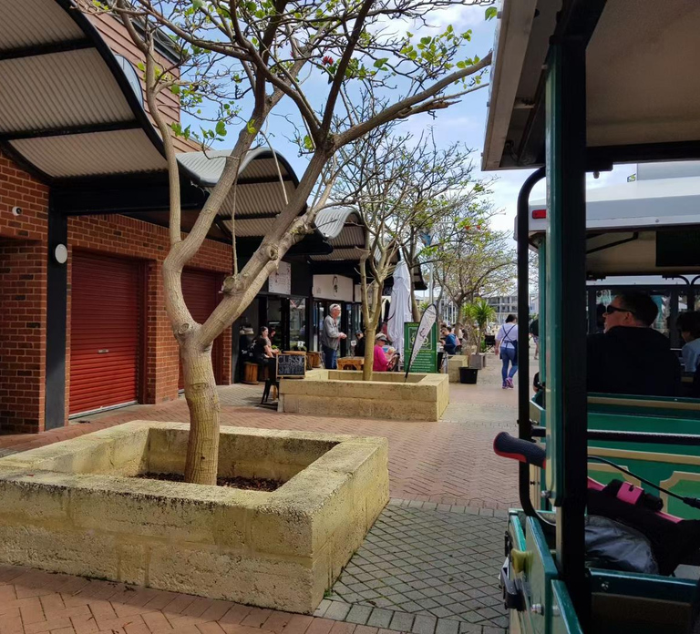 Mandurah: Big Toot 30 mins scenic tour