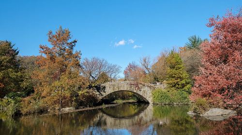 Central Park Private Pedicab Tour (60 mins) Day Tours