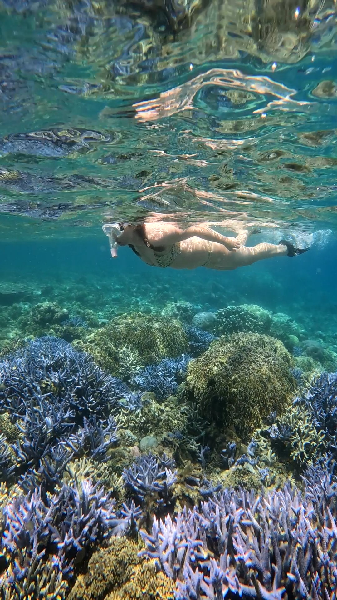 Secrate Island Private Snorkling Tour in lombok with go pro