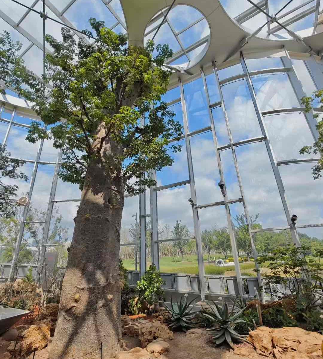 Shanghai Greenhouse Garden Adult Ticket ( Asia's Largest Glass Greenhouse)