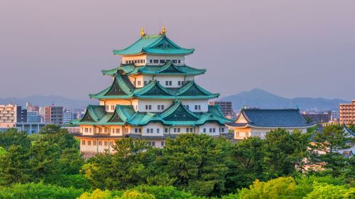 Nagoya Highlight Day Tour with Osu Street & Osu Kannon from Osaka
