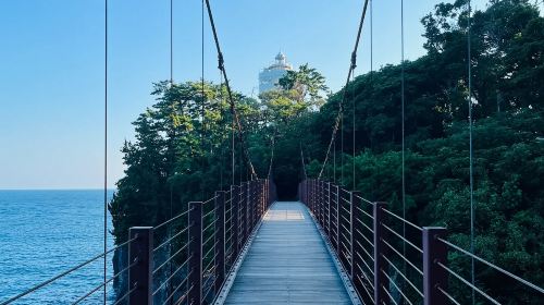 1-day tour to Mt. Omuro + Jogasaki Coast + coastal highway in Izu, Japan