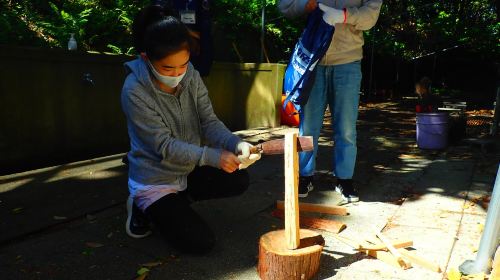 Professional-Level Solo Camping Workshop Experience at Minamiboso City Tourist Information Center