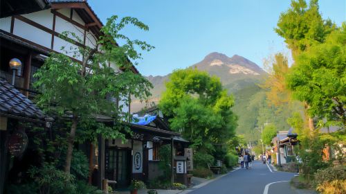 Beppu Kinrin Lake Autumn Viewing + Hells of Beppu + Kyushu Wildlife Park African Safari 1-day Tour