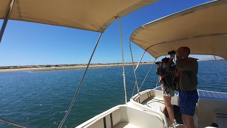 Tour Image 4