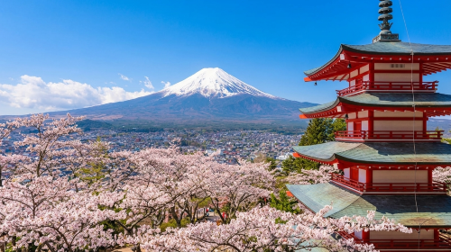 Mt Fuji Top 6 Spots Day Tour:Arakurayama Park,OshinoHakkai Day Tours