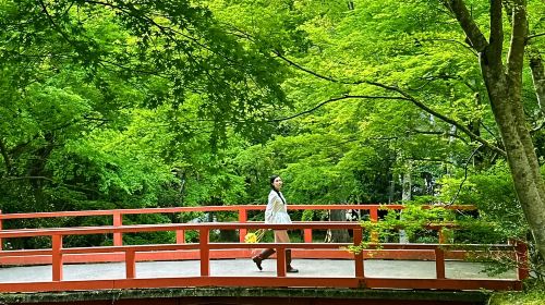 1-day tour of Kyoto's Arashiyama, Sanzen-in, and Bamboo Forest Path Day Tours