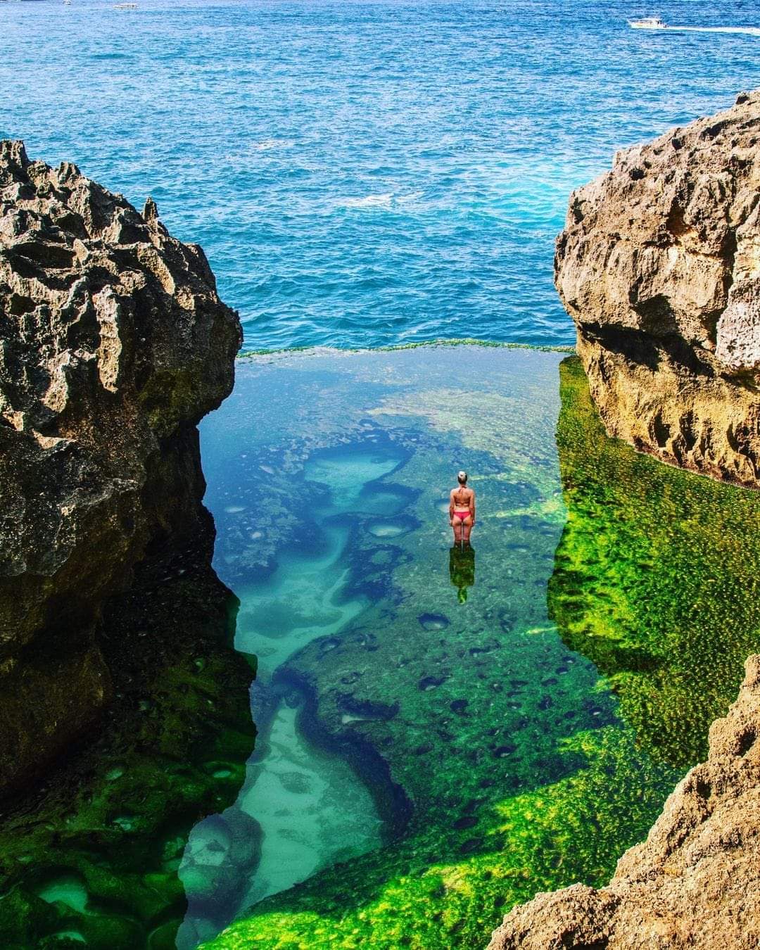 One Day - Nusa Penida Tour