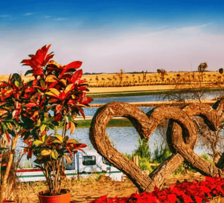 Dubai Nature Escape:Sunset Wildlife & Bird Watching in Oasis
