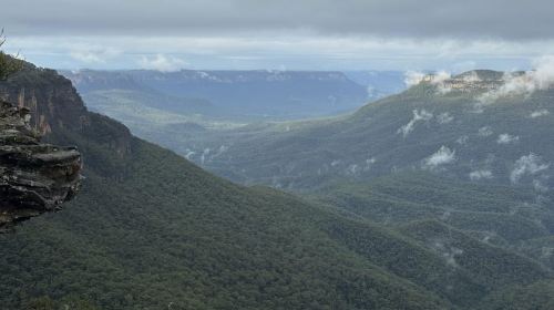 Blue Mountains Tour w/Lunch: Scenic World, Zoo & Koala Photo Day Tours