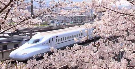 [Promotion] Pass | Kansai Wide Pass | Wakayama Enjoyment Pass & Have Fun in Wakayama