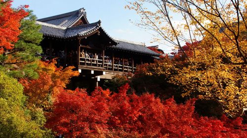 Japan transportation one-way ticket for Tokyo to Osaka/Kyoto high-speed overnight bus (4-row seating)