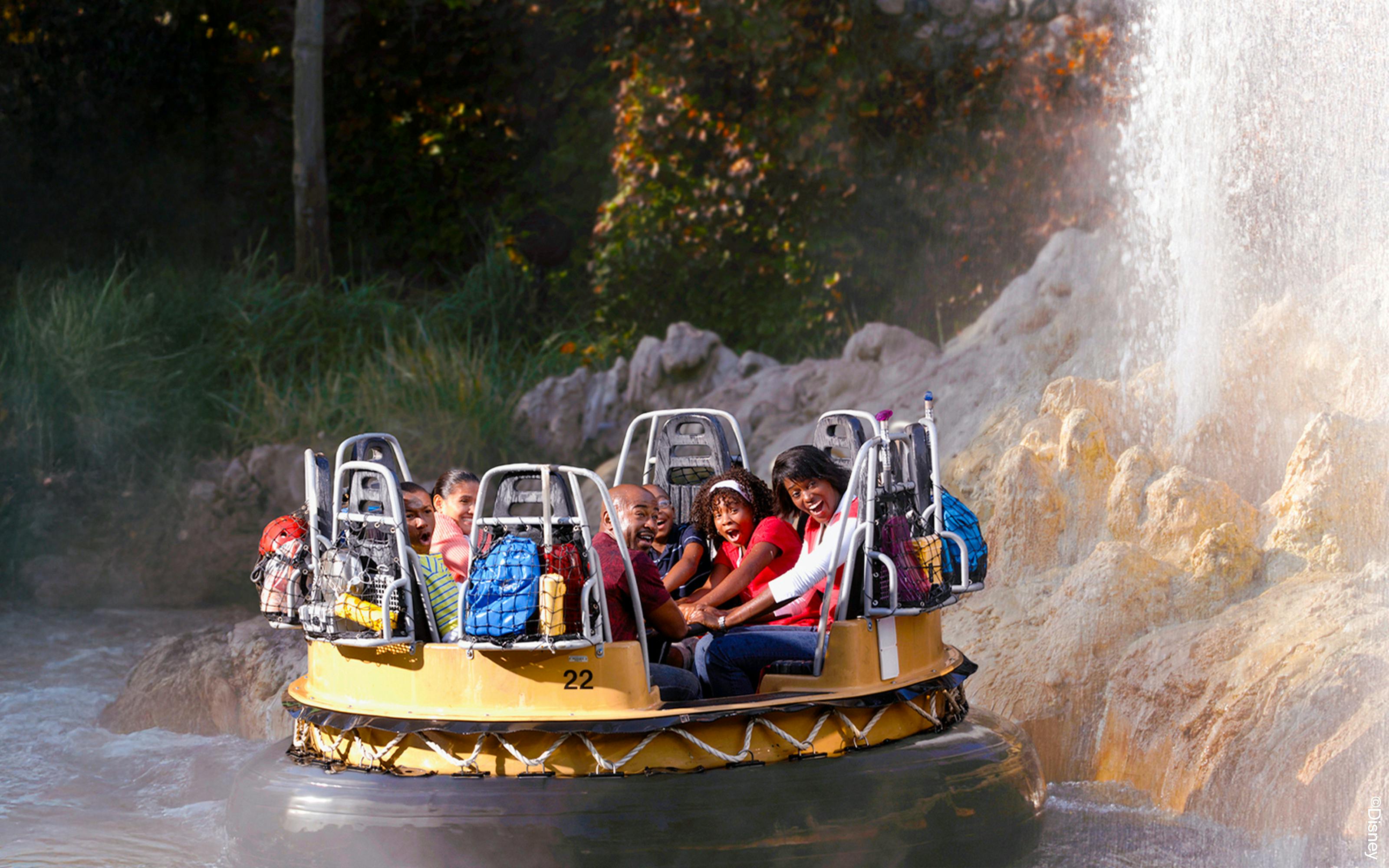 Disneyland California 1-Day Multi-Park Tickets (Hopper)
